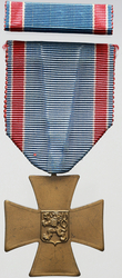 Pamětní medaile československého dobrovolce z let 1918 - 1919, bronz, stužka