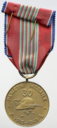 Pamětní medaile československého dobrovoleckého sboru v Itálii, bronz