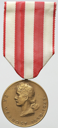 Pamětní medaile druhého národního odboje, bronz