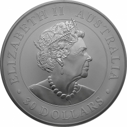 Stříbrná investiční mince Australian Koala 2019 (1000 g./Stříbro 9999/1000)