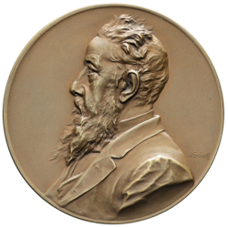 Bronzová medaile Nicolaus Dumba 1900, 55 mm.