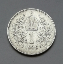 Koruna 1899 - 1kr9902 