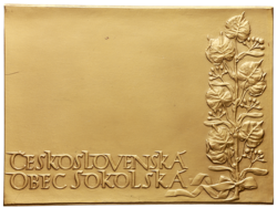 Bronzová plaketa Československá obec sokolská - 100 mm. x 75 mm.
