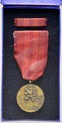 Medaile za službu vlasti, bronz II. vydání, stužka, etue