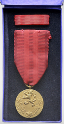 Medaile za službu vlasti, bronz I. vydání, stužka, etue