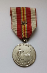 Pamětní medaile IV. pluku Stráže svobody